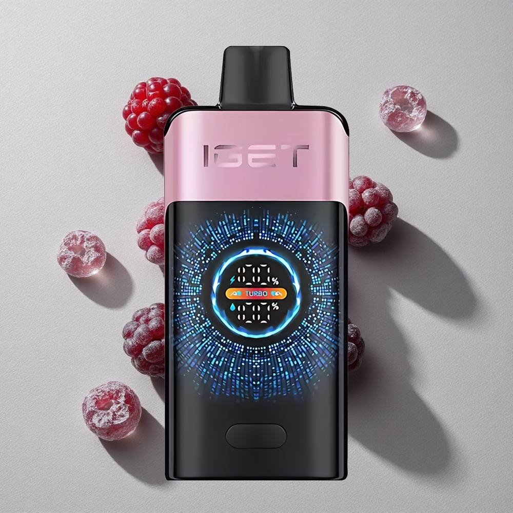 Blackberry Ice IGET ONE 12000 Puffs Disposable Vape with Large Curved Color Screen