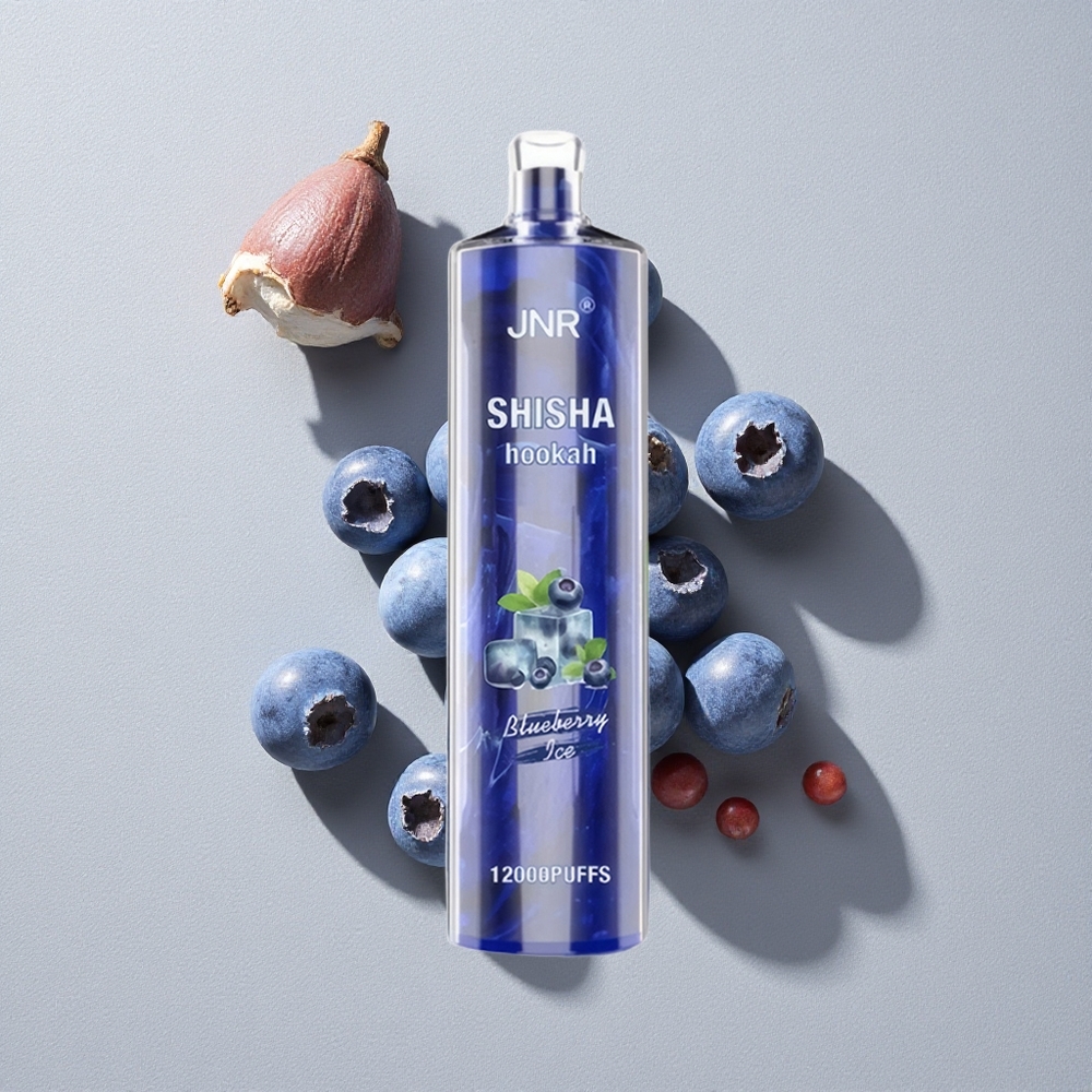 Blueberry Ice JNR Shisha Hookah 12000 Puffs Disposable Vape