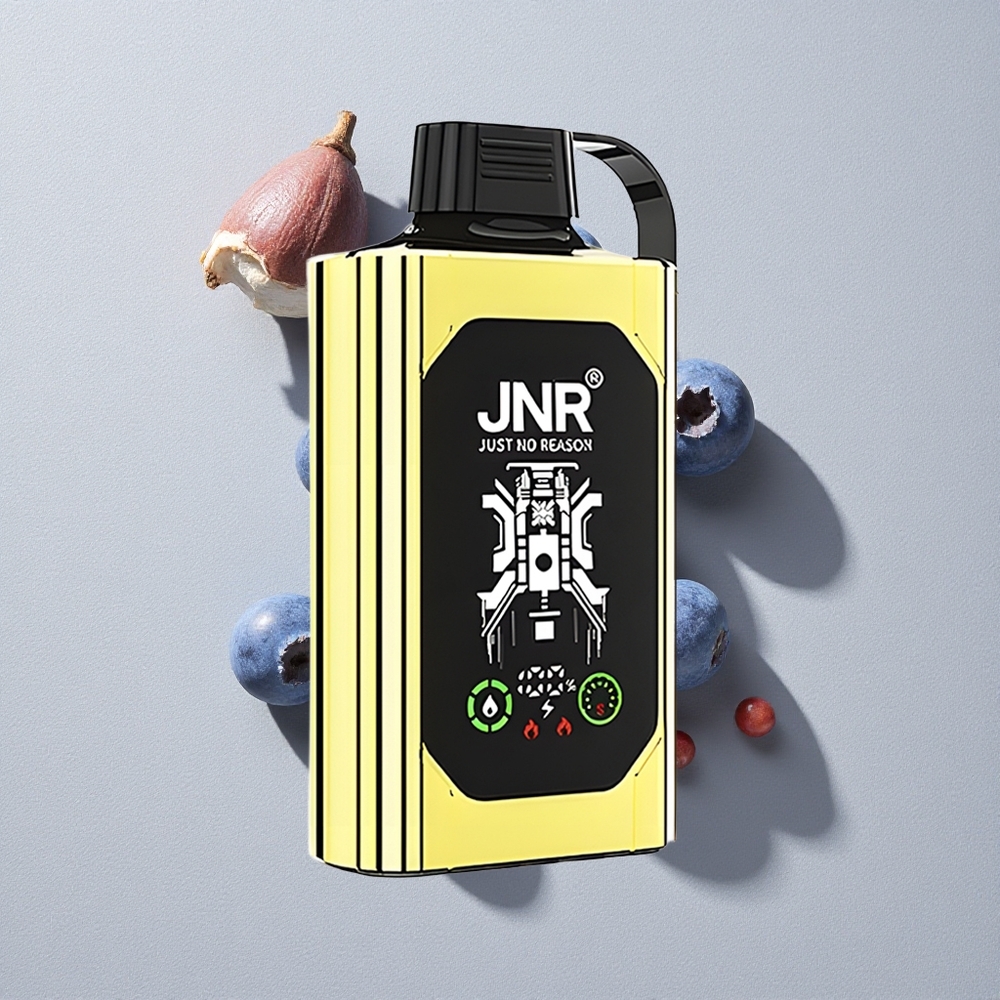 Blueberry Ice JNR Shisha Hookah Box 20500 Puffs Disposable Vape