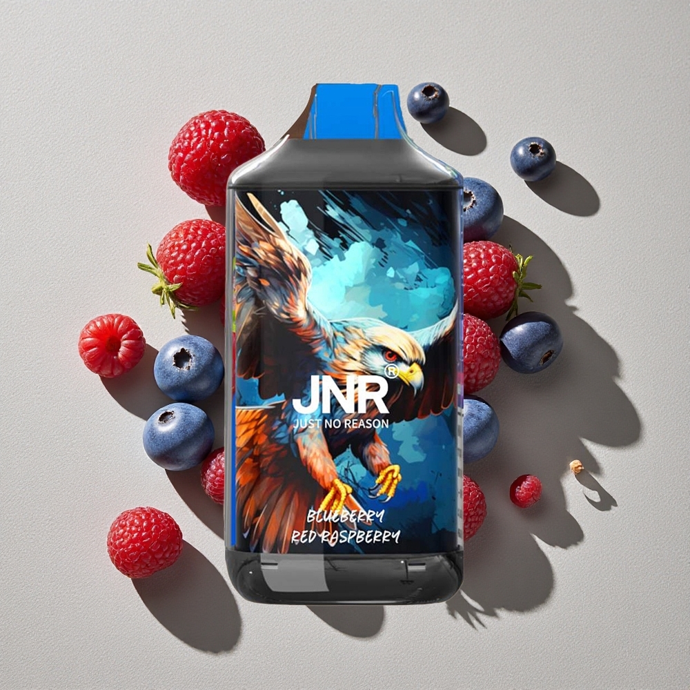 Blueberry Red Raspberry JNR Falcon 16000 Puffs Disposable Vape
