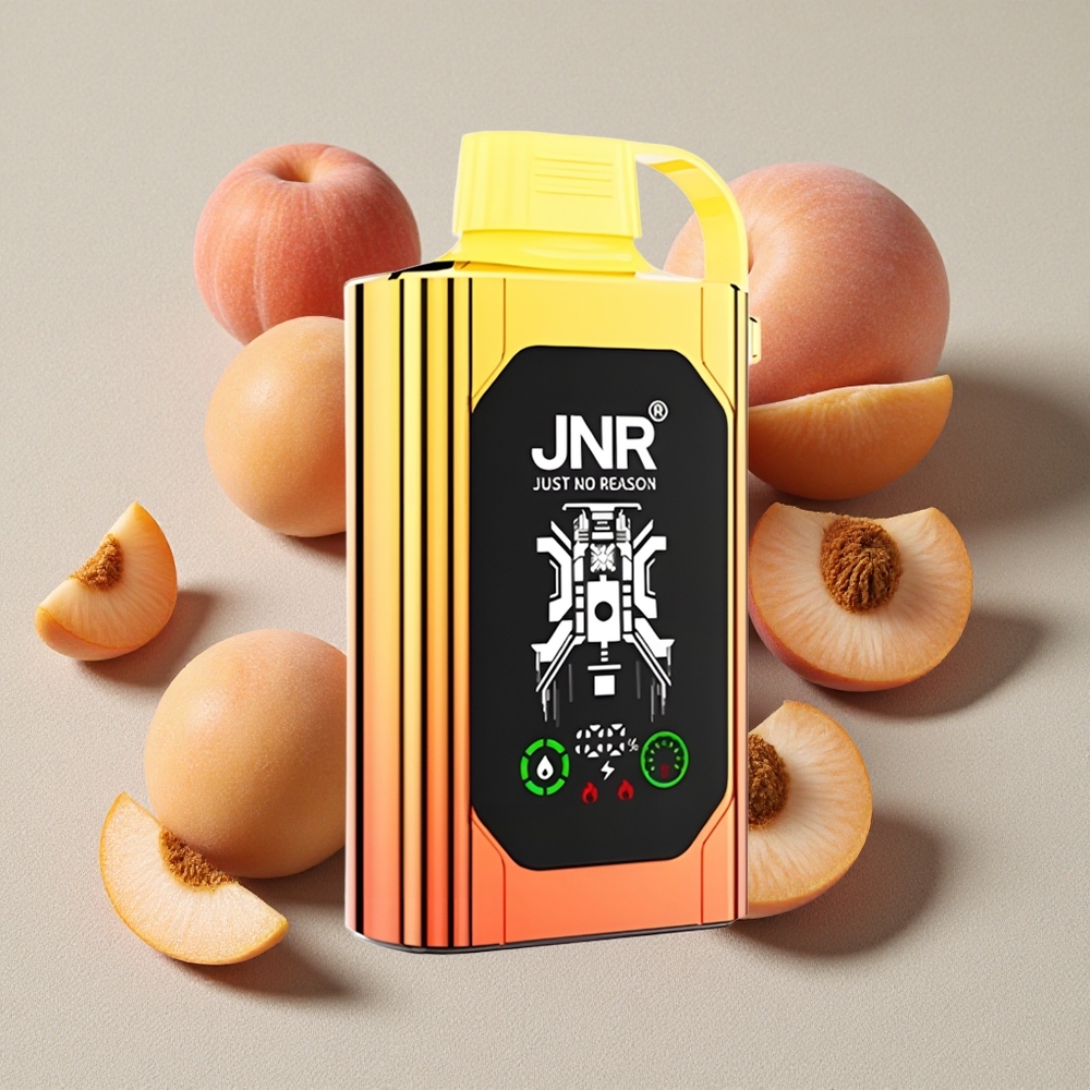 Juicy Peaches JNR Shisha Hookah Box 20500 Puffs Disposable Vape Dual Mesh Coil