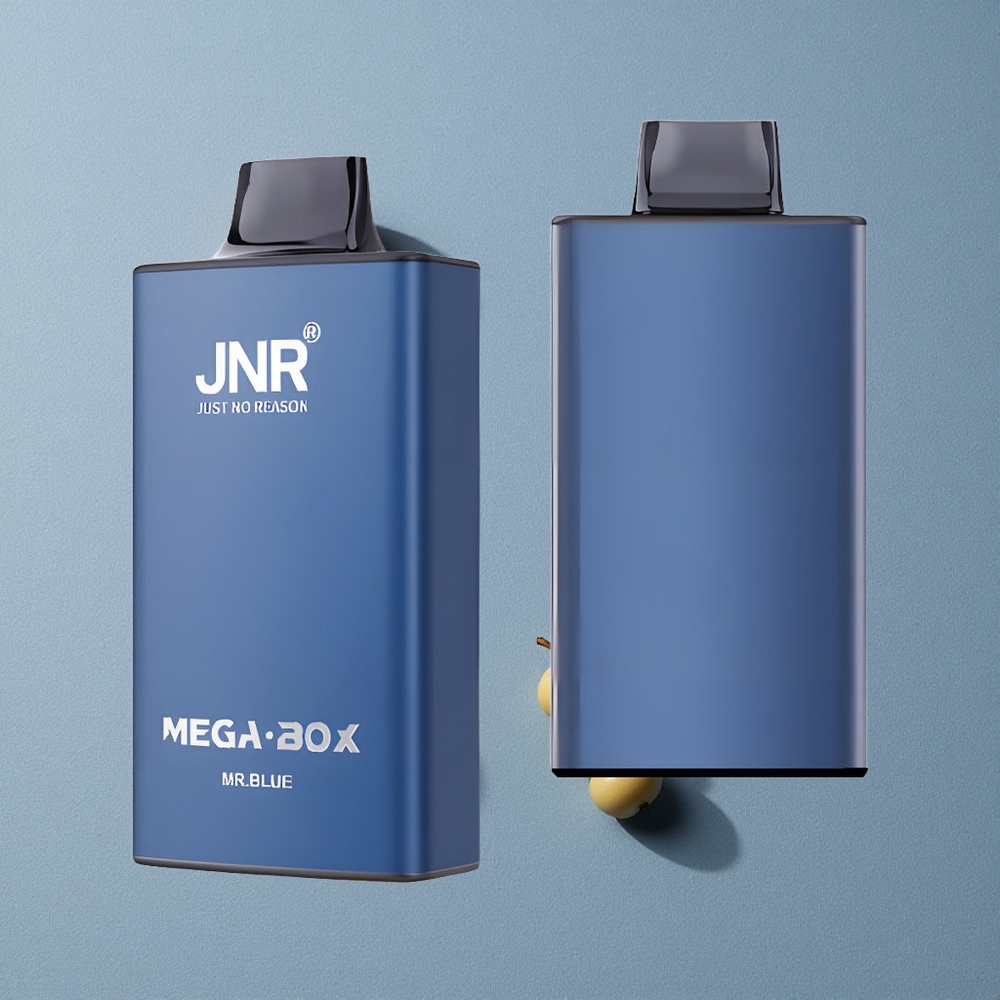 Mr Blue JNR Mega Box 25000 Puffs Disposable Vape