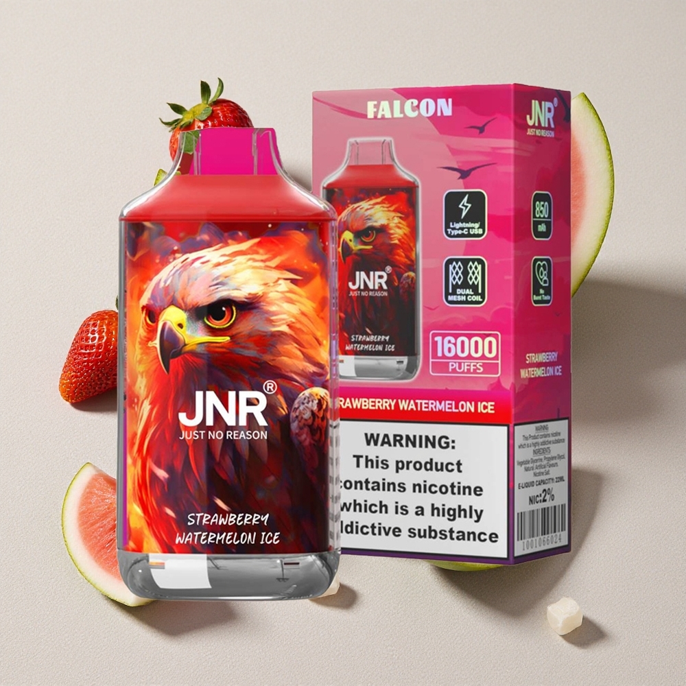 Strawberry Watermelon Ice JNR Falcon 16000 Puffs Dual Mesh Coil