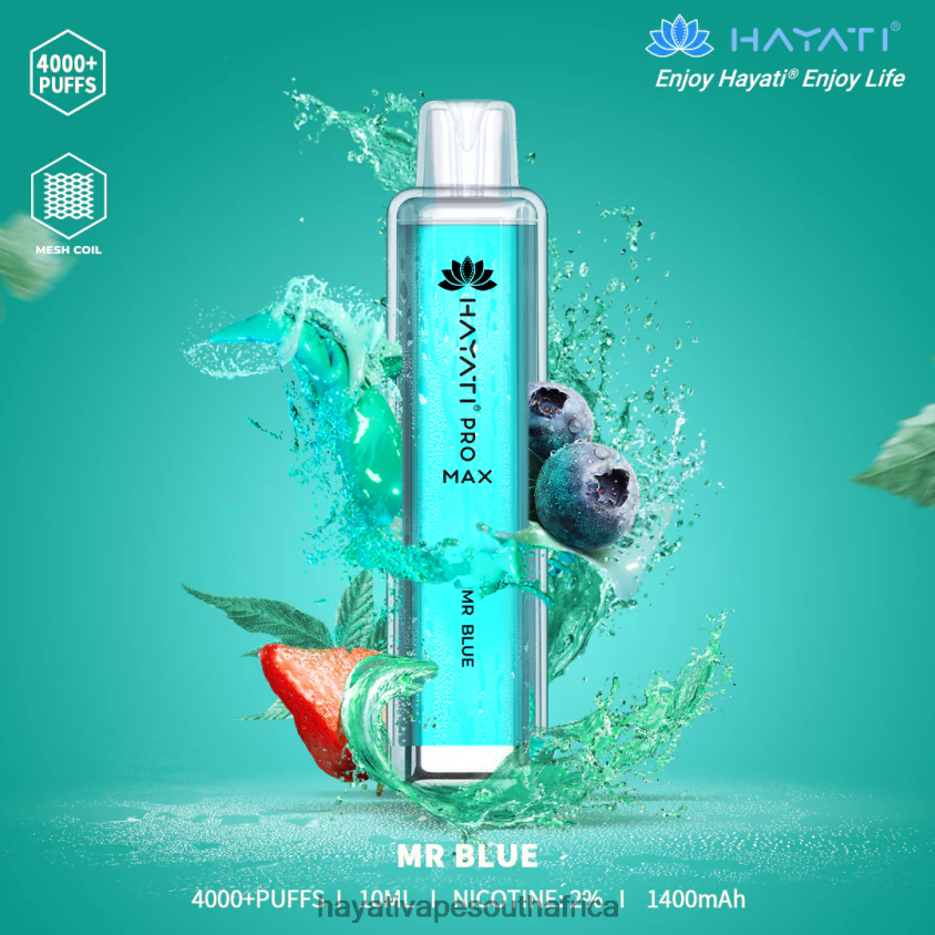 Hayati Vape South Africa - Hayati Pro Max Disposable Mr.Blue 46222V113