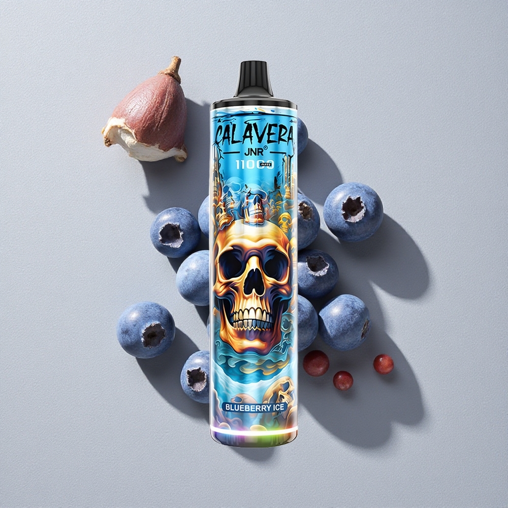 Blueberry Ice JNR Calavera 11000 Puffs Disposable Vape with Type-C Charging