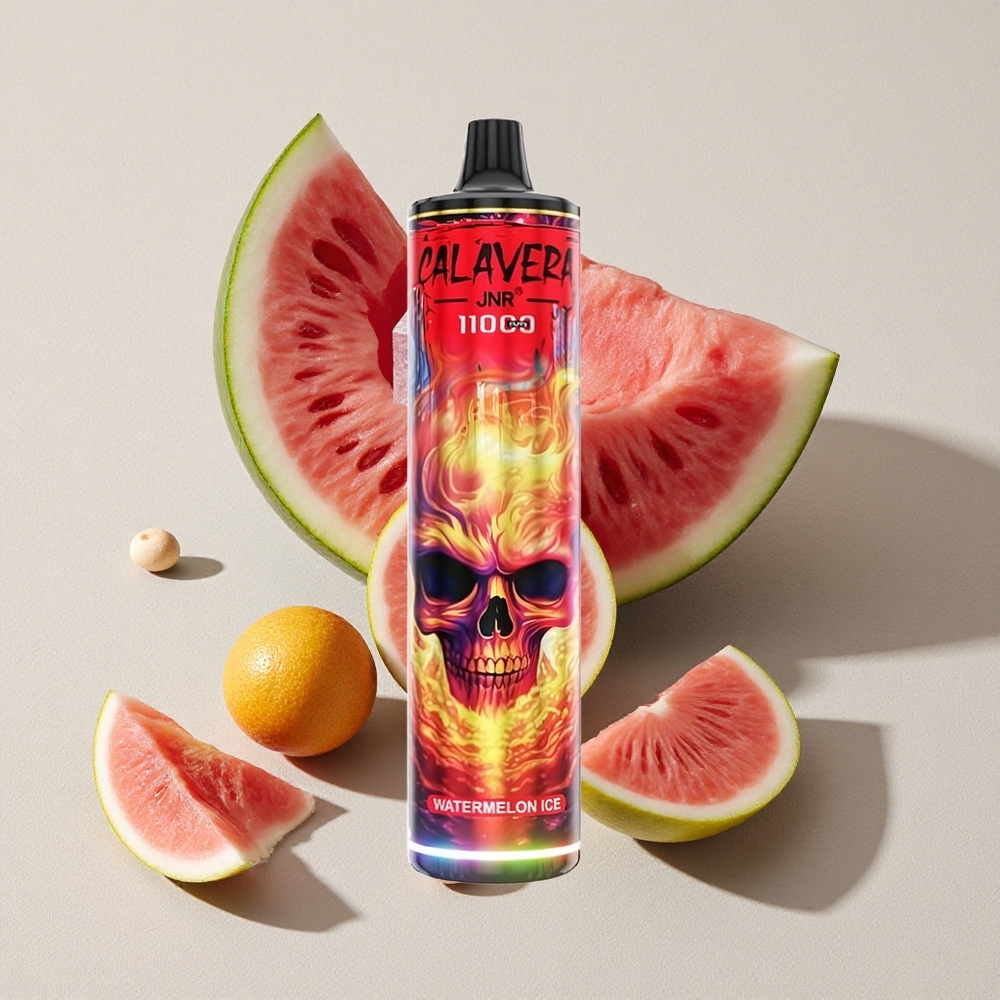 Watermelon Ice JNR Calavera 11000 Puffs Disposable Vape with Type-C Charging
