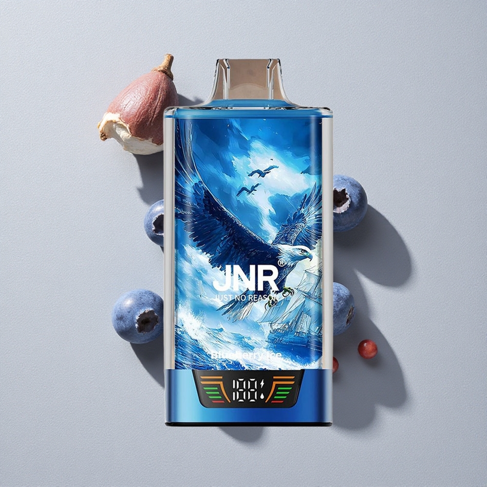 Blueberry Ice JNR Falcon Pro 28000 Disposable Vape