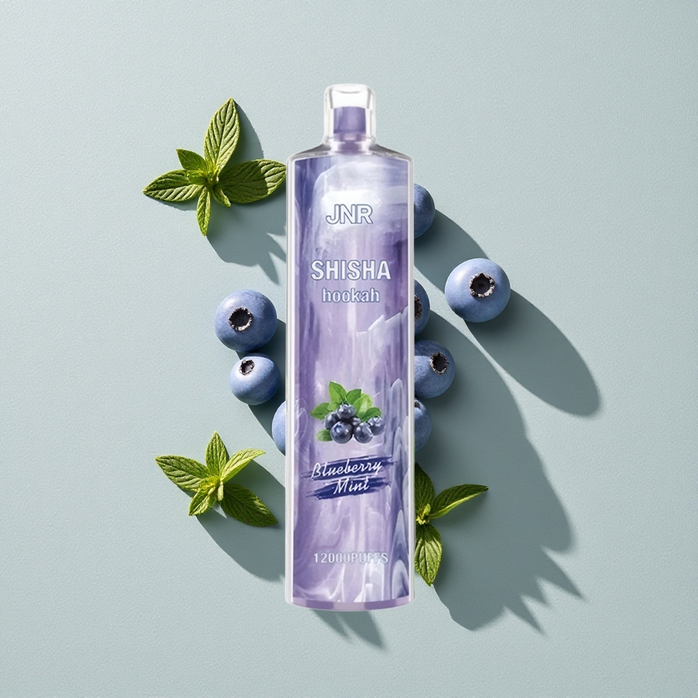 Blueberry Mint JNR Shisha Hookah 12000 Puffs Disposable Vape with 750mAh Battery
